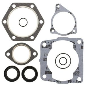 POLARIS 300 2 STROKE ENGINE COMPLETE GASKET KIT & OIL SEALS 94-99