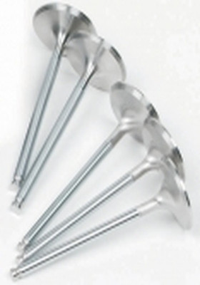 YAMAHA RAPTOR, GRIZZLY, RHINO 660 ENGINE VALVES INTAKE & EXHAUST 01-08