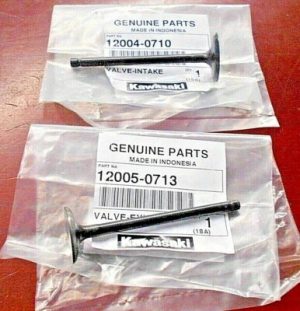 KAWASAKI KLX110 KLX,FURY, BRITZ 110, Z125 PRO ENGINE OEM INTAKE & EXHAUST VALVES