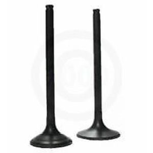 KAWASAKI KZ250 KZ 250 ENGINE INTAKE EXHAUST HEAD VALVES