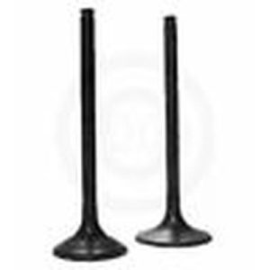 SUZUKI ALT125 LT125 LT ALT 125 QUAD RUNNER ENGINE VALVES.INTAKE & EXHAUST