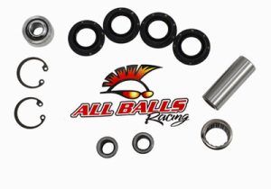 KAWASAKI BRUTE FORCE 650I,  750 TOP UPPER A ARM BEARING REBUILD KIT 50-1032