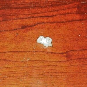 SUZUKI LT250R 250 QUAD RACER CYLINDER EXHAUST VALVE ARM,ROD BUSHING 12687-01B00