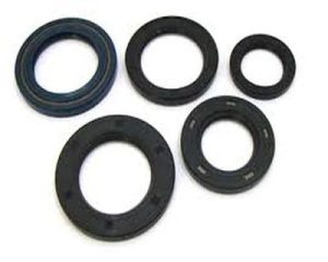 HONDA RECON 250 TRX250EX TRX250X TRX 250EX 250X ENGINE OIL SEAL KIT 97-20