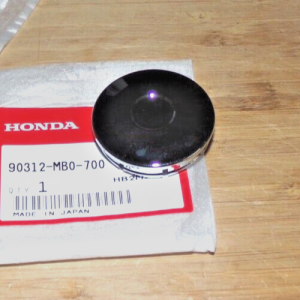 HONDA ATC 250ES BIG RED 250, 250SX, TRX 250 300 350 SWINGARM PIVOT BOLT NUT CAP