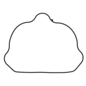 POLARIS SPORTSMAN, RANGER 700,800 RZR, FOREST VALVE COVER GASKET SEAL 5412836