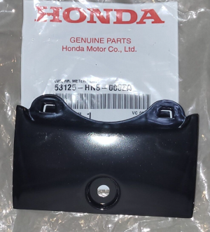 HONDA RINCON 650 & 680, SPEEDOMETER HOUSING LOWER ACCESS COVER 53125-HN8-000ZA