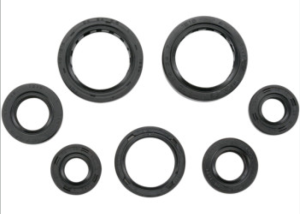 HONDA TRX350 TRX 350 TE TM FE FM RANCHER ENGINE OIL SEAL KIT 00-06