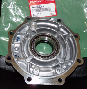 HONDA TRX 250EX 250X REAR DIFFERENTIAL LEFT SIDE HOUSING COVER PLATE 01-24