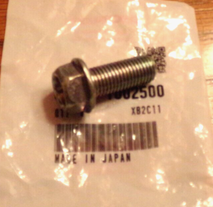 HONDA FOOTPEG, EXHAUST MUFFLER MOUNTING BOLT 96300-10025-00, 350X, 200X, 250R