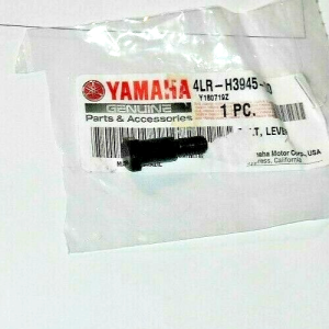 YAMAHA TTR125, TTR230 TTR 125 230 CLUTCH LEVER PIVOT BOLT,  4LR-H3945-00-00