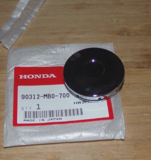 HONDA RECON 250,TRX 250X,FOREMAN 400 450 500 RUBICON SWINGARM PIVOT BOLT NUT CAP
