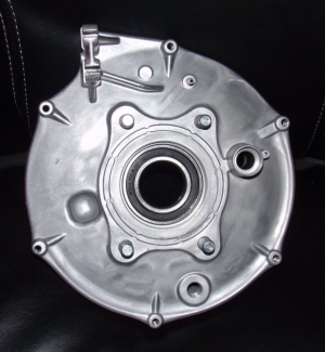 HONDA TRX 300 2X4, 4X4 REAR BRAKE PANEL, OUTTER COVER PLATE