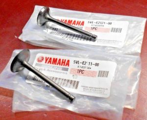 YAMAHA RAPTOR 125, TTR125, TTR 125 ENGINE OEM INTAKE & EXHAUST VALVES