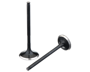 HONDA TRX400 TRX 400 FOREMAN ENGINE VALVES INTAKE,EXHAUST