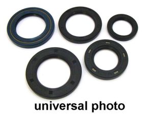 KAWASAKI KLX300 KLX 300 ENGINE OIL SEALS KIT 97-07, shift shaft, transmission