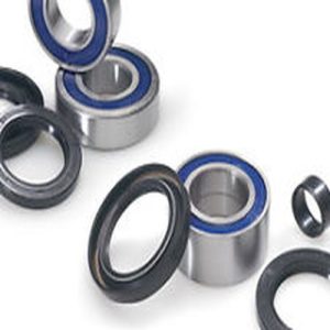 XS360, FZ6S, FZ6, YZF-R6,YZF750 REAR WHEEL BEARINGS KIT