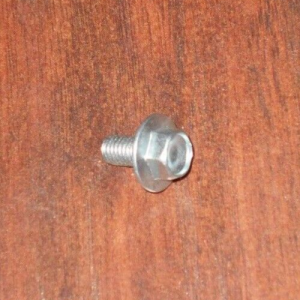SUZUKI QUAD RACER LT250 250,LT500 500 QUADZILLA KICK START LEVER MOUNTING BOLT